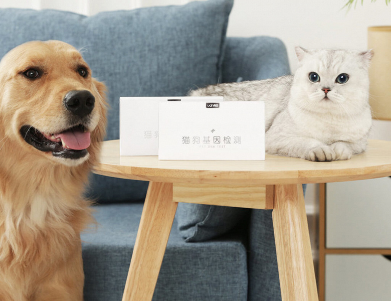 Xiaomi has released a genetic test for cats and dogs